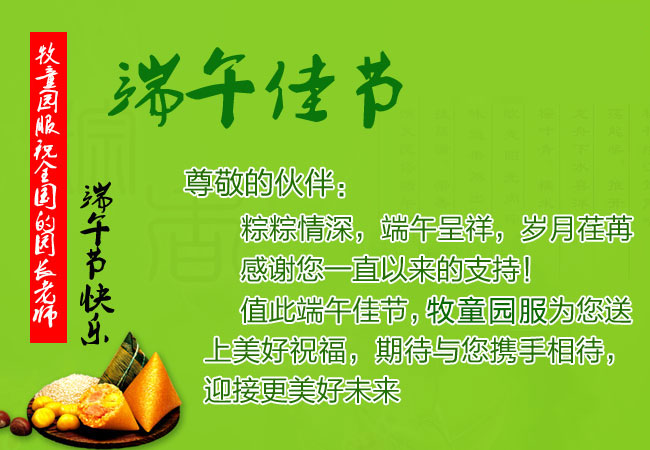 端午节快乐